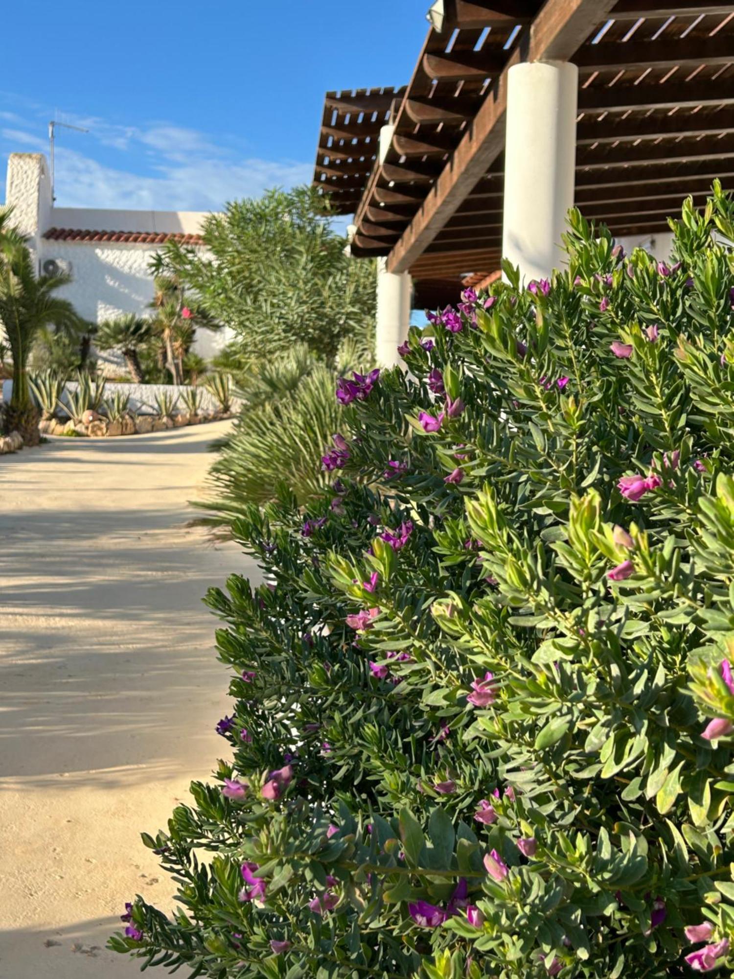 Hotel Oasi Di Casablanca à LMP Extérieur photo